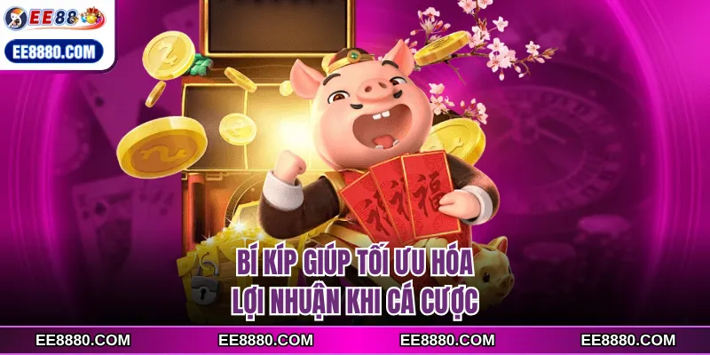 Bí kíp giúp tối ưu hóa lợi nhuận khi cá cược