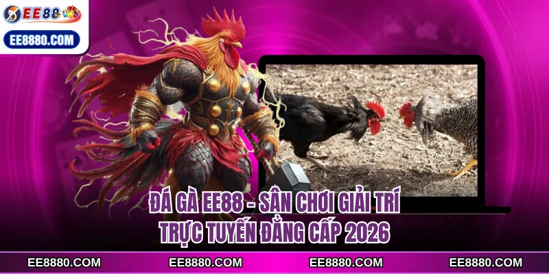 đá gà ee88