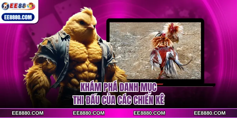 Khám phá danh mục thi đấu của các chiến kê