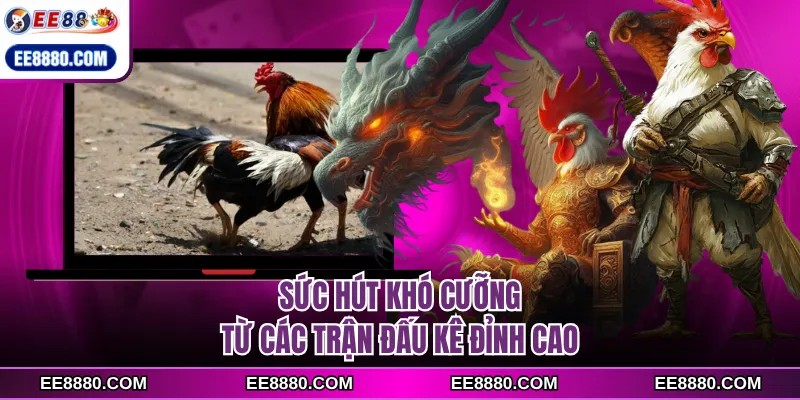 Sức hút khó cưỡng từ các trận đấu kê đỉnh cao