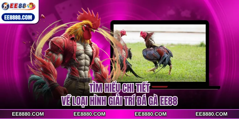Tìm hiểu chi tiết về loại hình giải trí đá gà EE88